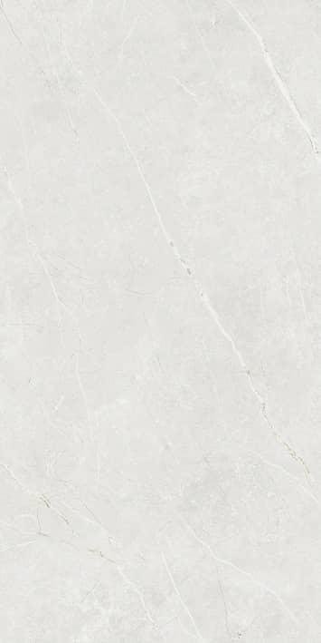Tau Elite White Matt 60x120