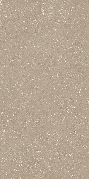 Tau Sassy Greige 60x120