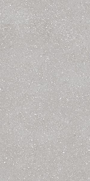 Tau Sassy Silver 60x120