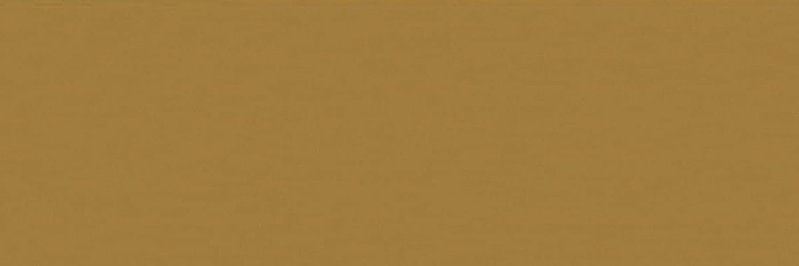 Technolam Basic Arancio Nat 100x300