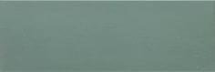TopCer Базовая Плитка Dark Green 10x30
