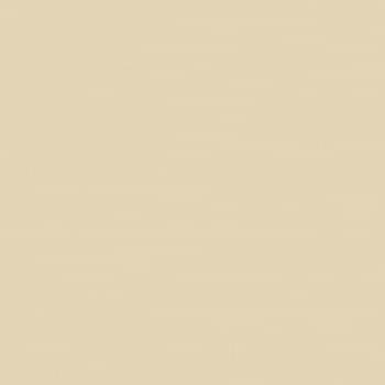 Unitile Pro Monocolor Beige Кг 01 40x40