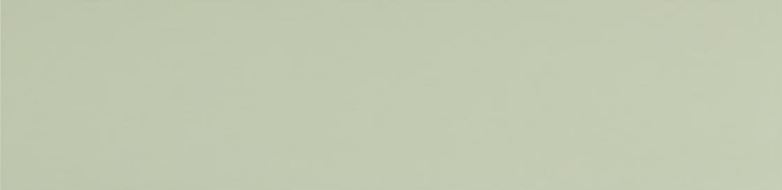 Уральский Гранит Матовая Фисташковый Моноколор 29.5x120