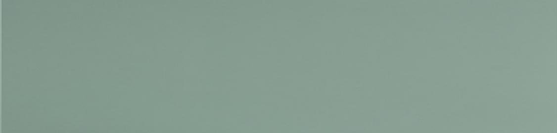 Уральский Гранит Матовая Мурена Моноколор 29.5x120