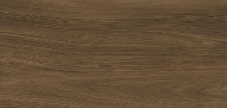 Urbatek XLight Ewood Honey Nature 160x320