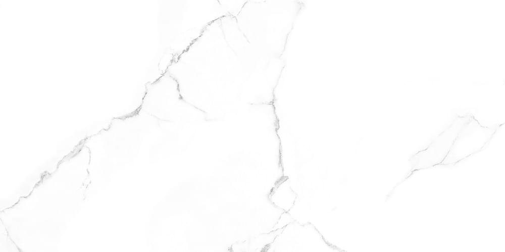 Velsaa Calacata Lite 60x120