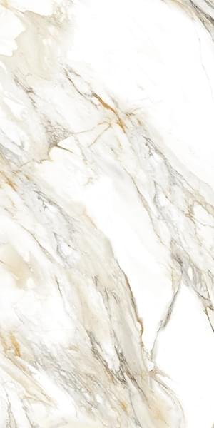 Velsaa Calacata Paonazzo 60x120