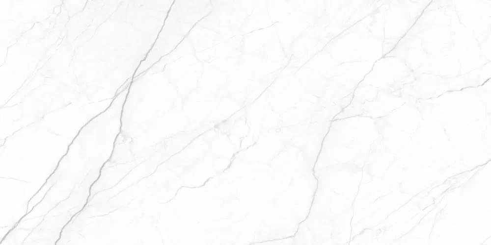 Velsaa Royal Infinite White 60x120