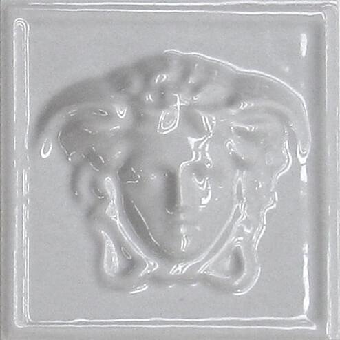 Versace Emote Medusa 3D Grigio 10x10
