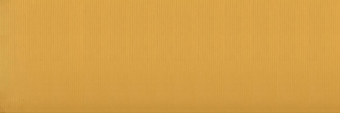 Versace Gold Oro Riga Pvd 25x75