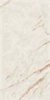 Versace Marble Megabarocco Bianco Lapp 58.5x117.5