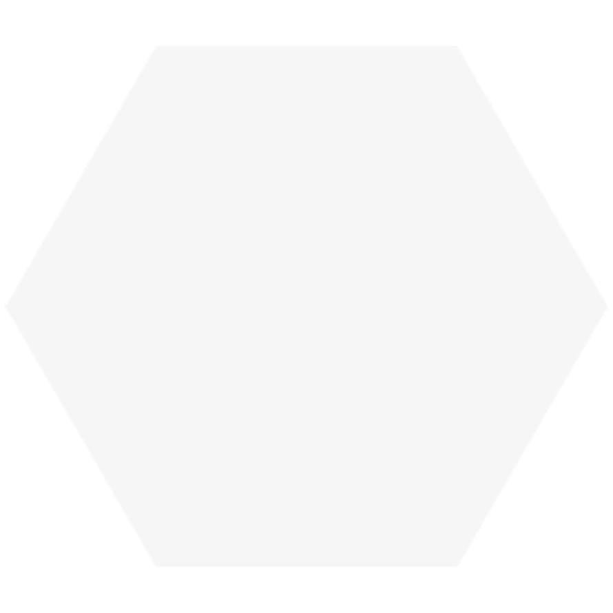 VitrA Miniworx Ral 9016 White Hexagon Matt 21x24