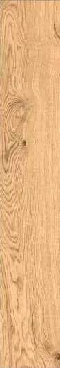 VitrA VividWood Дуб 20x120