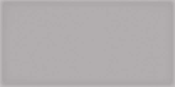 Vives Corso Gris 10x20