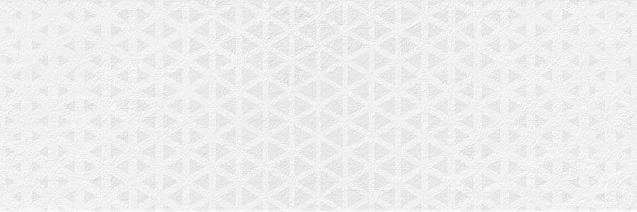 Vives Omicron Renea Nieve 25x75