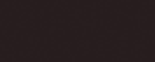 Vives Satinados Negro Mate 20x50