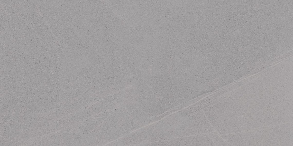 Vives Seine R Gris 60x120