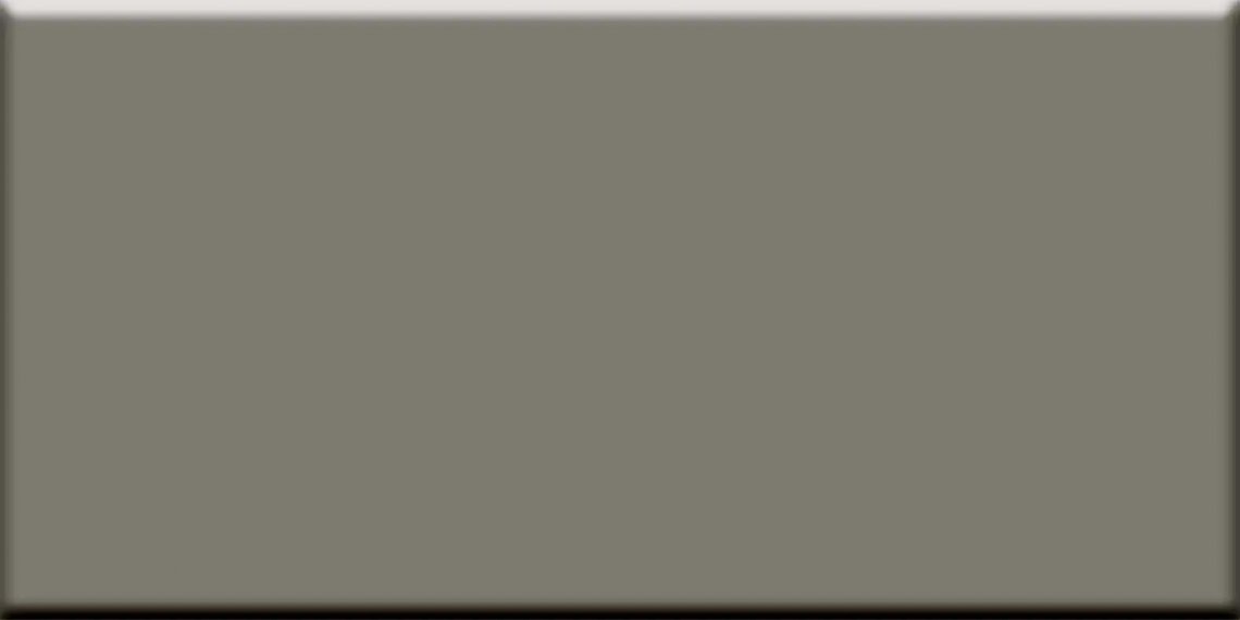 Vogue Trasparenze Grigio 10x20