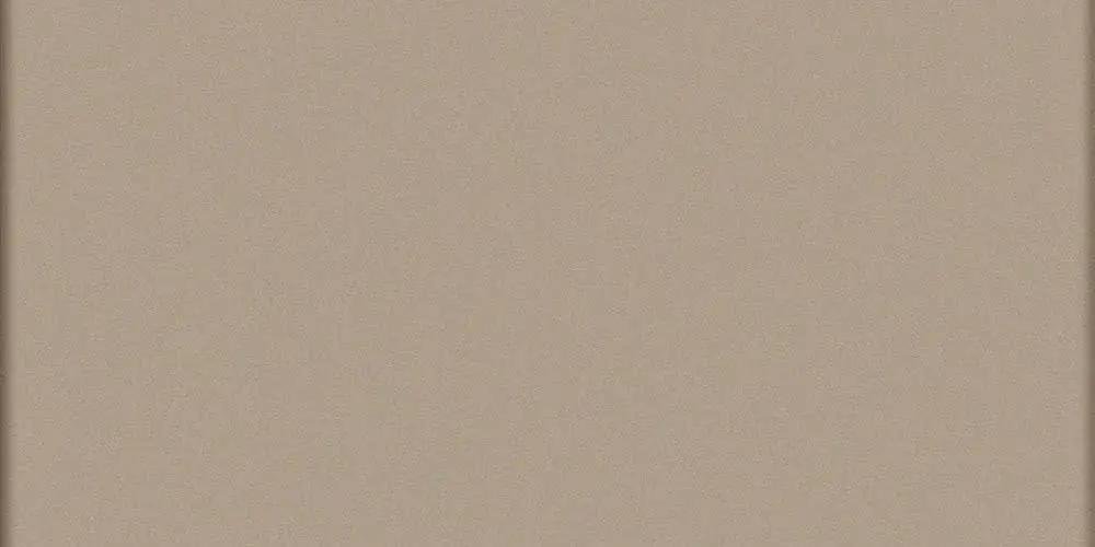 Vogue Trasparenze Tortora 20x40