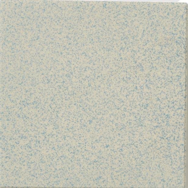 Winckelmans Speckled Cx.10 Amazonia 208 10x10