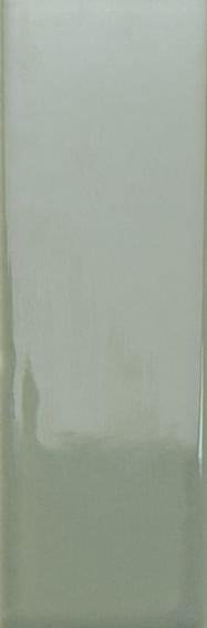 Wow Bits Kale Gloss 3.7x11.6