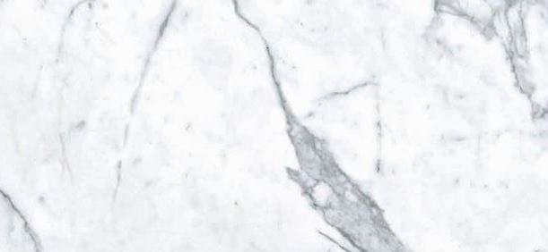 Zodiac Ceramica Porcelain Staturio Venatino Gloss 120x260 Zodiac Ceramica Porcelain Staturio Venatino Gloss 120x260