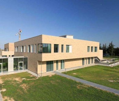Плитка Casalgrande Padana коллекция Amazzonia