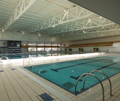 Плитка Casalgrande Padana коллекция Granito 2