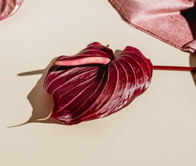 Плитка Edimax коллекция Velvet