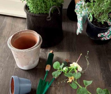 Плитка Novabell коллекция My Space