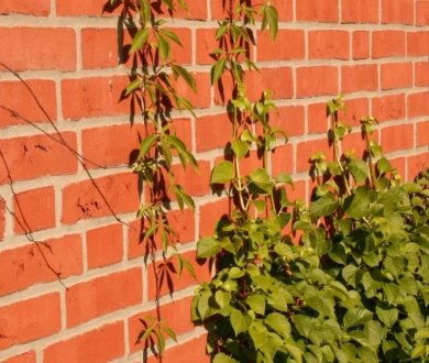 Плитка Olfry коллекция Brick