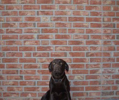 Плитка Olfry коллекция Brick