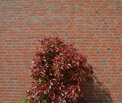 Плитка Olfry коллекция Brick