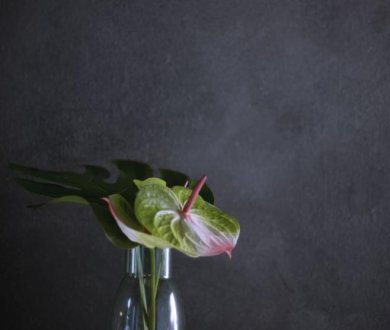 Плитка Panaria коллекция Zero.3 Urbanature