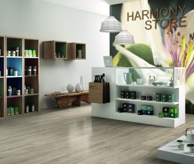 Плитка Ragno коллекция Harmony