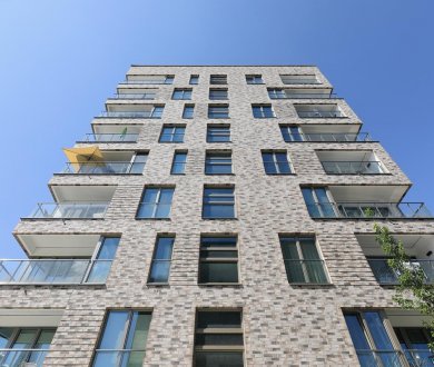 Плитка Westerwalder Klinker коллекция Wasserstrich