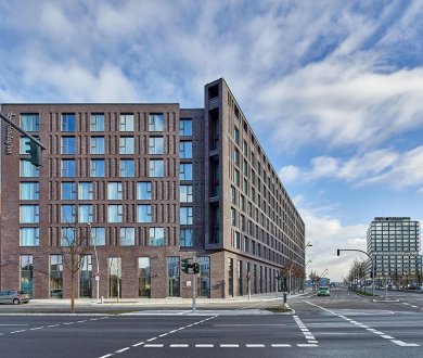 Плитка Westerwalder Klinker коллекция Wasserstrich