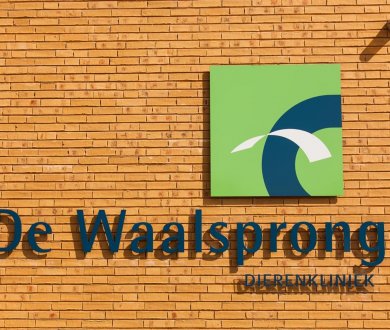 Плитка Westerwalder Klinker коллекция Wasserstrich