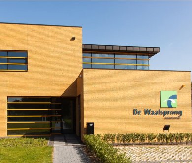 Плитка Westerwalder Klinker коллекция Wasserstrich