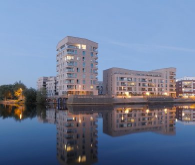 Плитка Westerwalder Klinker коллекция Wasserstrich