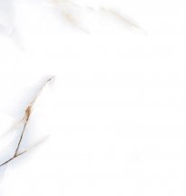 A Ceramica Barcelon Polished 60x60