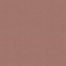 ABK Wide And Style Mini Paprika Ret 60x120