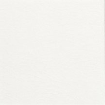 Adex Modernista Liso Pb CC Blanco 15x15