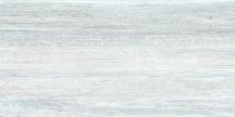 Alma Ceramica Uno TWU09WOD006 24.9x50