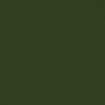 Almera Noblesse Brillo Verde Botella 20x20