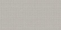 Altacera Megapolis Gray 24.9x50