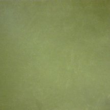 Apavisa Anarchy Green Natural 59.55x59.55
