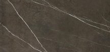 Apavisa Pietra Grey Polished 119.3x260