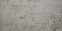Apavisa Regeneration Grey Natural 29.75x59.55