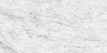 Ape Vita Polish 60x120